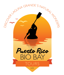 Puerto Rico Bio Bay Tours LLC