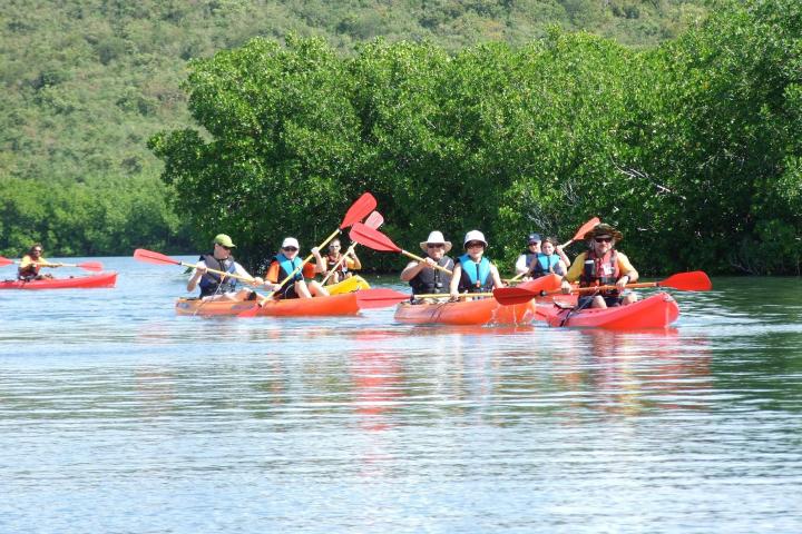 People enjoying a day kayak on the Fajardo Bio Bay